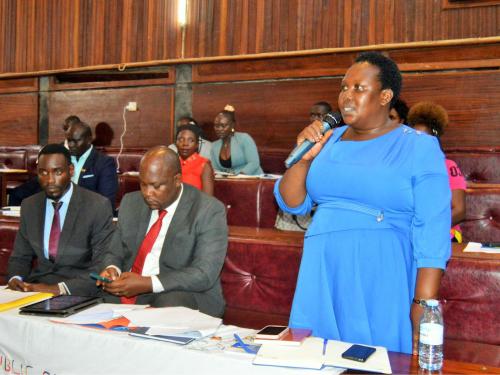 CAO-Ms Namayega Edith addressing District Council in session at the District Council Chambers 